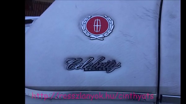 Cinthya Lincoln Ts - Coccolarsi nell'auto delle celebrità porno VIP di lei