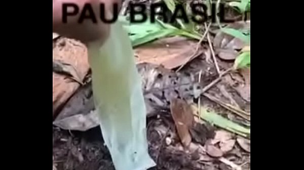PedroPeloso e o Longo Rio Índio na Floresta Amazônica