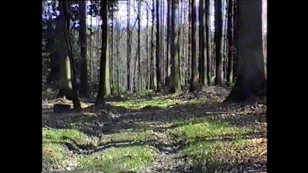 BluttBoy en la guadaña y en el bosque