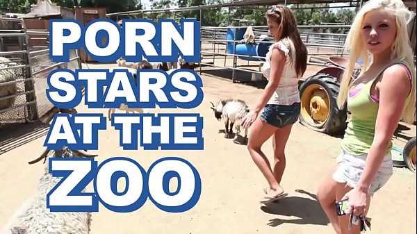 BANGBROS - Le pornostar sexy invadono il famoso e il custode del cazzo