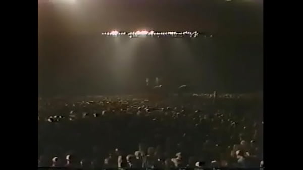 冲突 - 现场 1983