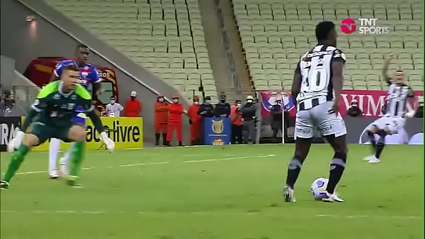 Well-endowed grandpa eats hairy lion's ass deliciously